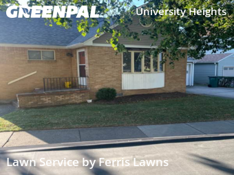 Grass Cut nearby Buffalo, NY, 