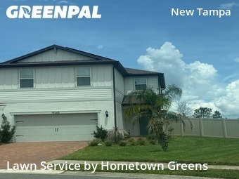 Modern Landscaping In Tampa,33647,Landscaping Renovation by Hometown Greens , work completed in Jun , 2026