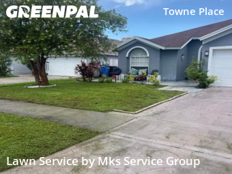 Lawn Mow nearby Tampa, FL, 