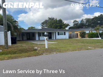 Landscaping Renovation In Tampa,33609,Landscaping by Three Vs , work completed in Nov , 2025