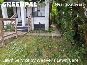 Grass Cut nearby Indianapolis, IN, 