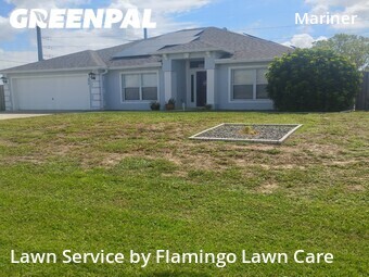 Lawn Mow nearby Cape Coral, FL, 