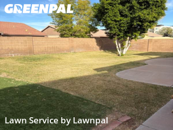 Affordable Landscaping Maintenance Services In Mesa,85209,Landscapers by Lawnpal, work completed in Dec , 2025