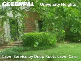 Grass Cutting nearby Springfield, MO, 