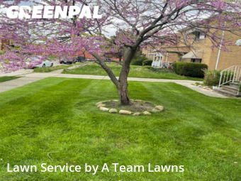 Yard Cutting nearby Euclid, OH, 