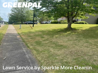 Lawn Cut nearby Douglasville, GA, 