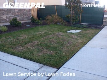 Grass Cut nearby Sacramento, CA, 