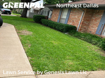 Yard Cutting nearby Dallas, TX, 