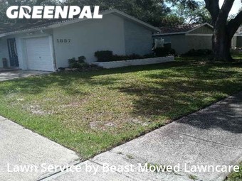 Lawn Cutting nearby Clearwater, FL, 