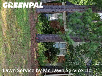 Yard Cutting nearby Pearl, MS, 