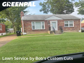 Grass Cutting nearby University City, MO, 