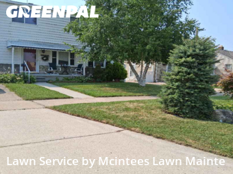 Yard Mowing in Southgate, 48195, Grass Care by Mcintees Lawn Mainte, work completed in Nov , 2025