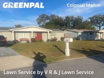 Lawn Cut nearby New Port Richey, FL, 