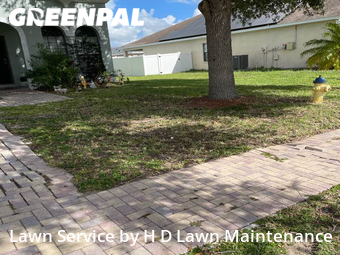 Grass Cutting nearby Lake Alfred, FL, 