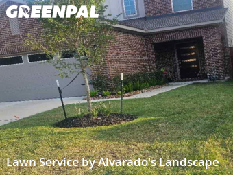 Lawn Mowing Servicein Porter,77365,Lawn Cut by Alvarado's Landscape, work completed in Nov , 2025