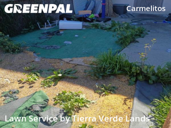 Grass Cutting nearby Long Beach, CA, 