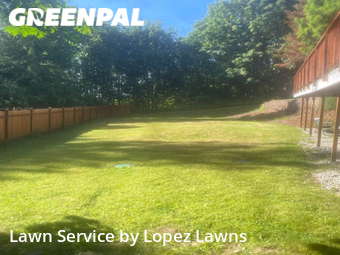 Lawn Maintenance nearby Federal Way, WA, 