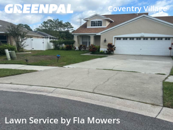 Lawn Cutting nearby Palm Harbor, FL, 