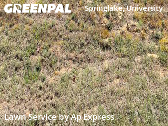 Lawn Cut nearby Shreveport, LA, 