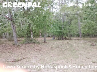 Yard Mowing nearby New Port Richey, FL, 