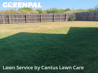 Lawn Cutin San Antonio,78253,Yard Cutting by Cantus Lawn Care , work completed in Oct , 2025