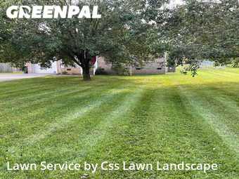 Grass Cut nearby Portland, KY, 