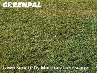 Yard Mowingin Clermont,34711,Lawn Cut by Martinez Landscape, work completed in Dec , 2025