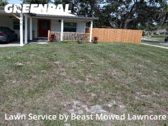 Lawn Care Service nearby St. Petersburg, FL, 