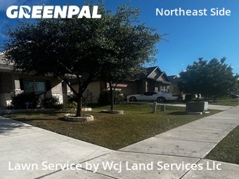 Lawn Maintenance nearby Schertz, TX, 