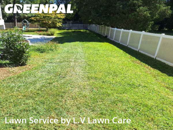 Yard Care in Fairfax, 22030, Yard Management by L.V Lawn Care, work completed in Dec , 2025