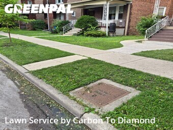 Lawn mowed in Oak Park, 60304