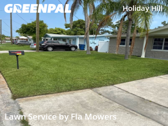 Lawn Maintenance nearby Port Richey, FL, 