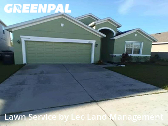 Grass Cut nearby Lakeland, FL, 