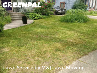 Lawn Care Service nearby Buffalo, NY, 