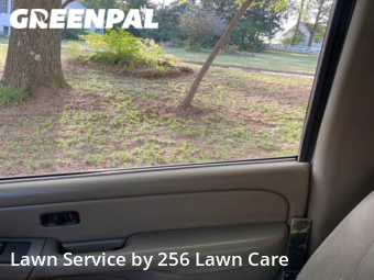 Grass Cutting nearby Anniston, AL, 