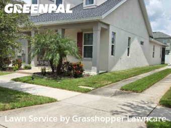 Lawn Care nearby Wesley Chapel, FL, 