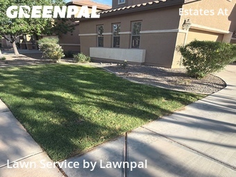 Lawn mowed in Gilbert, 85297