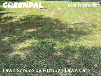 Grass Cut nearby Nashville Davidson, TN, 