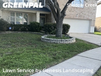 Landscapers In Pearland,77584,Landscaping Maintenance by Genesis Landscaping, work completed in Jul , 2026