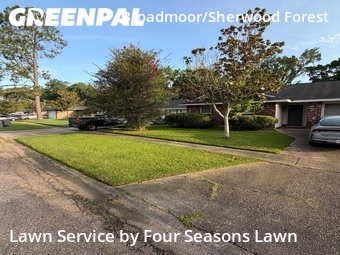 Grass Cut nearby Baton Rouge, LA, 