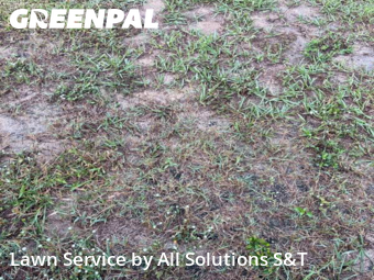 Lawn Service nearby Haines City, FL, 