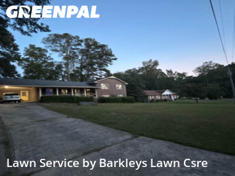 Weed Trimming in Griffin, 30224, Lawn Services by Barkleys Lawn Csre, work completed in Nov , 2025