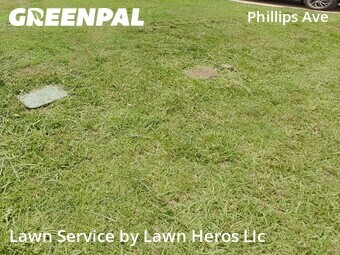 Lawn Care nearby Greensboro, NC, 
