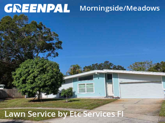 Yard Mowingin Clearwater,33764,Lawn Care Service by Etc Services Fl, work completed in Dec , 2025