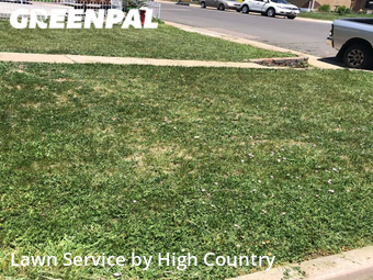 Lawn Mowing nearby Denver, CO, 