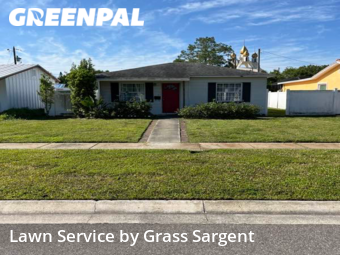 Lawn Care Service nearby St. Petersburg, FL, 