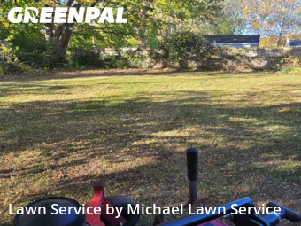Yard Management in Canton, 48187, Grass Care by Michael Lawn Service, work completed in Nov , 2025