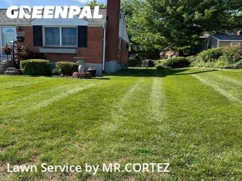 Lawn Mowing nearby Silver Spring, MD, 
