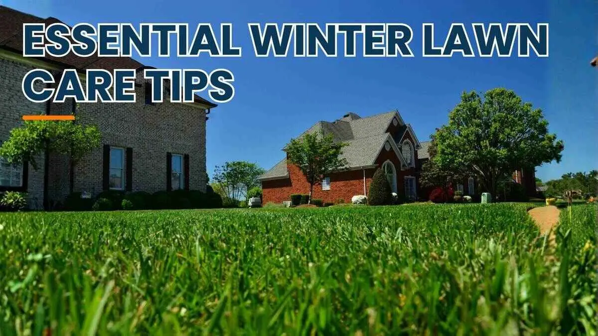 navy blue dress for baby girl Winter Lawn Care: Essential Tips main image 0