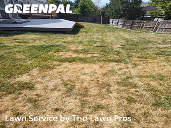 Yard Mowing nearby Thornton, CO, 